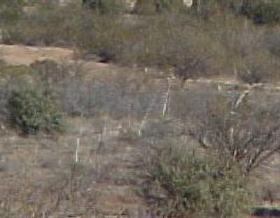 Angel, Cornville, AZ 86325