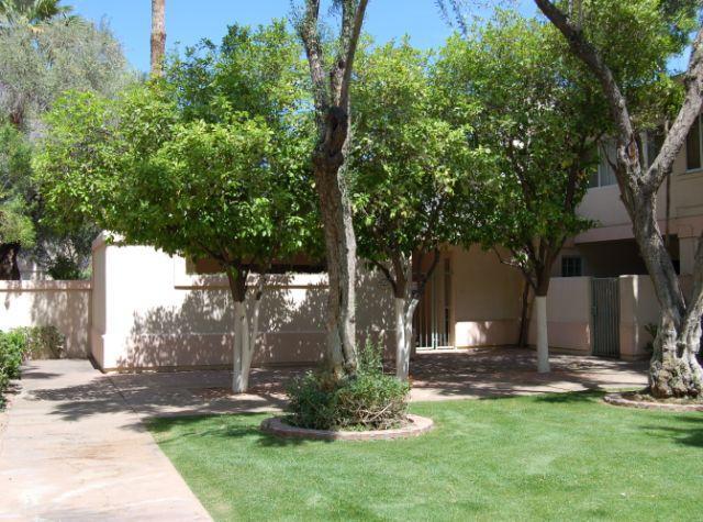 2233 E Highland Ave. #137, Phoenix, AZ 85016