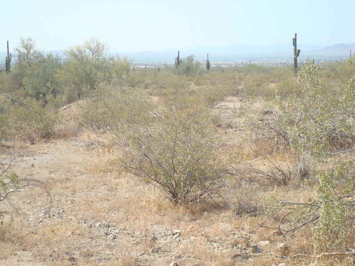 1380 N 235th Ave. #51, Buckeye, AZ 85354