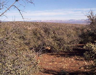 Off Goddard- D3, Cottonwood, AZ 86326