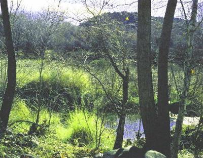 4395 E Aztec Rd., Rimrock, AZ 86335