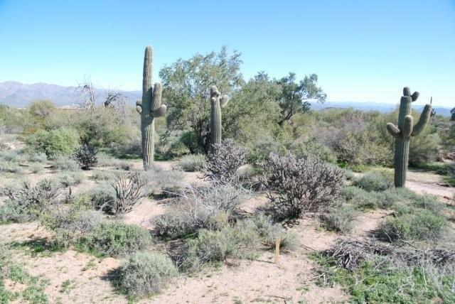 274XX N 162nd St. #219-37-499e, Scottsdale, AZ 85262