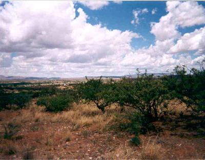 Elizabeth Ln., Cornville, AZ 86325