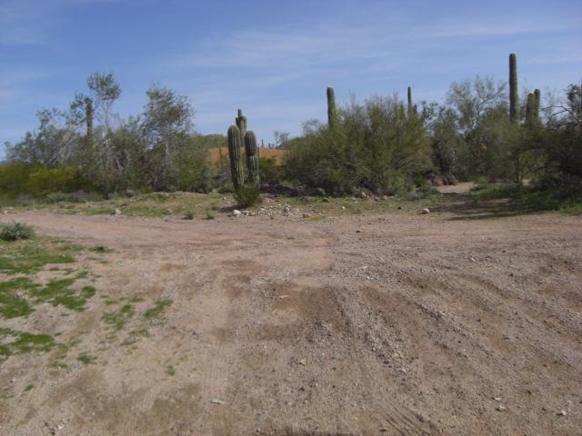 3433 N 82nd Pl., Mesa, AZ 85207