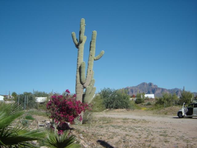 4837 N San Marcos Dr., Apache Junction, AZ 85220