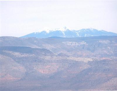 Magnolia, Jerome, AZ 86331