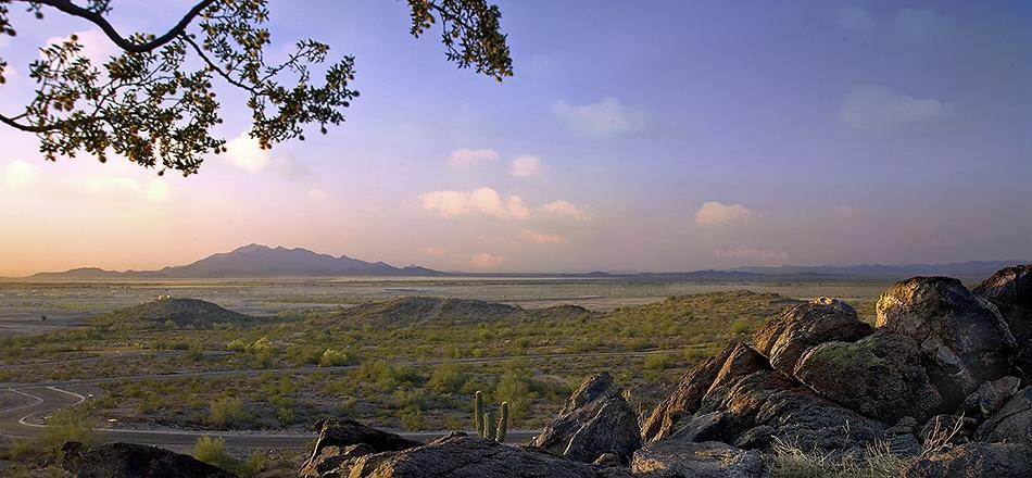 21346 W Black Rock Dr. #101, Buckeye, AZ 85396