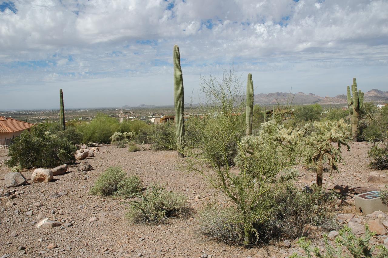 6300 E Lost Dutchman Rd. #2, Apache Junction, AZ 85219