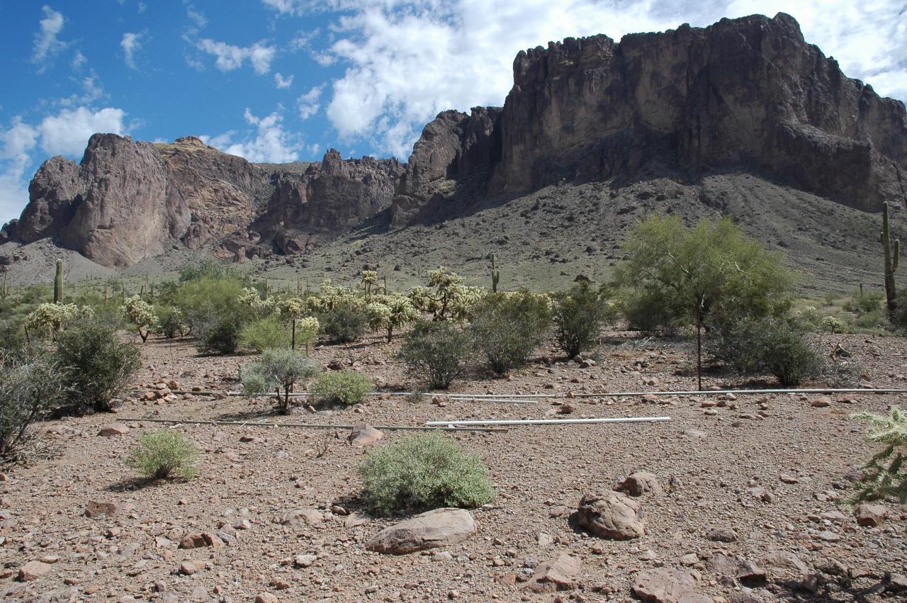 6300 E Lost Dutchman Blvd. #1, Apache Junction, AZ 85219