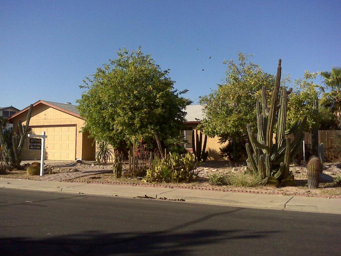 1517 N Rowen St., Mesa, AZ 85207
