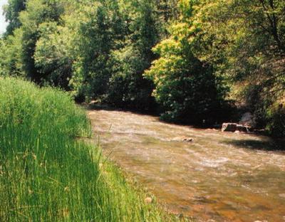 510 Verthaler, Cornville, AZ 86325