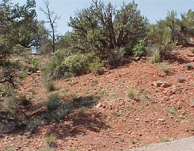 2257 Roadrunner Rd., Sedona, AZ 86336