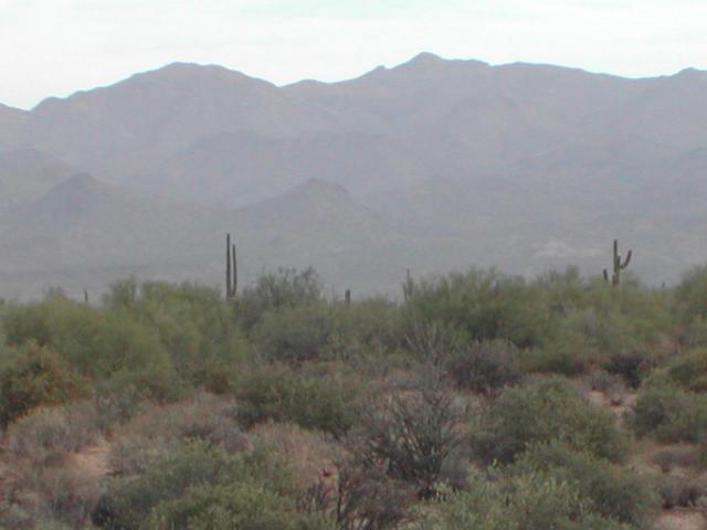 24000 S 176 St., Scottsdale, AZ 85262