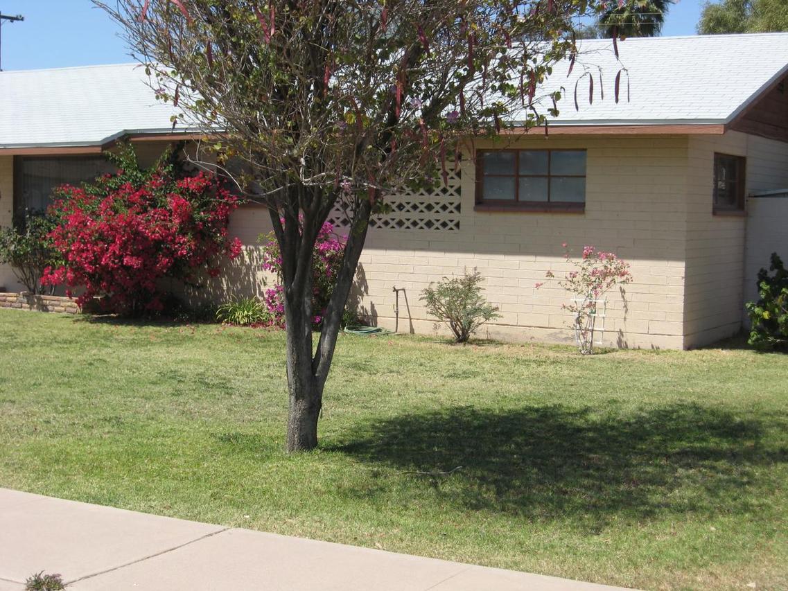 544 W 19th St., Tempe, AZ 85281