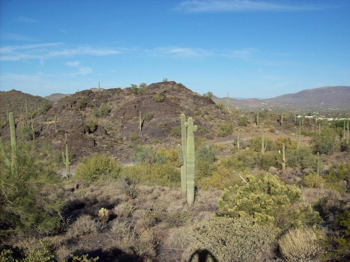 6172 E Surrey Dr., Cave Creek, AZ 85331