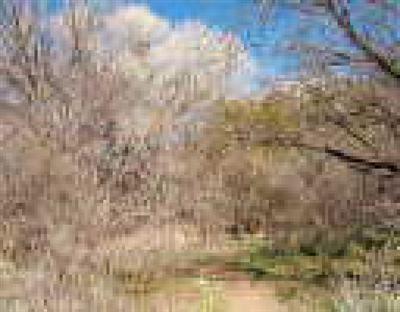 3380 E Robin Ln., Camp Verde, AZ 86322