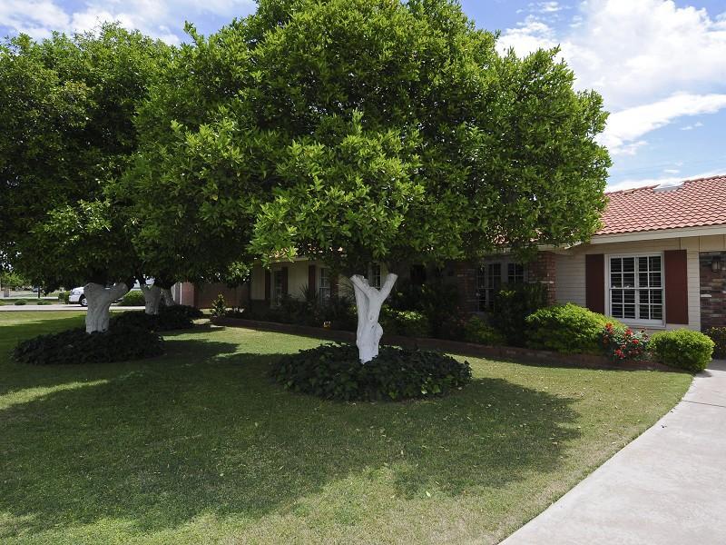 6213 E Calle Rosa, Scottsdale, AZ 85251