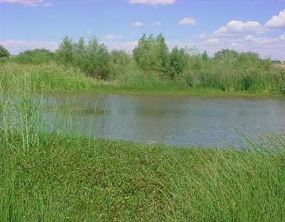 Off Cloverleaf Ranch, Camp Verde, AZ 86322