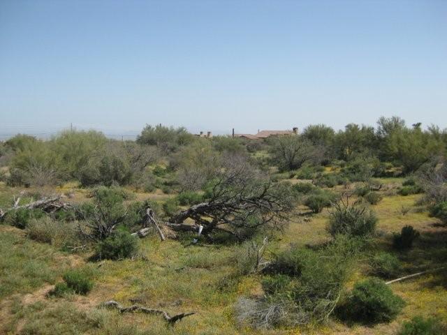 14300 E Dale Ln. #219-39-393E, Scottsdale, AZ 85262