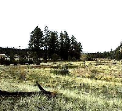 2985 Buckskin Canyon Rd. #001T, Heber, AZ 85928