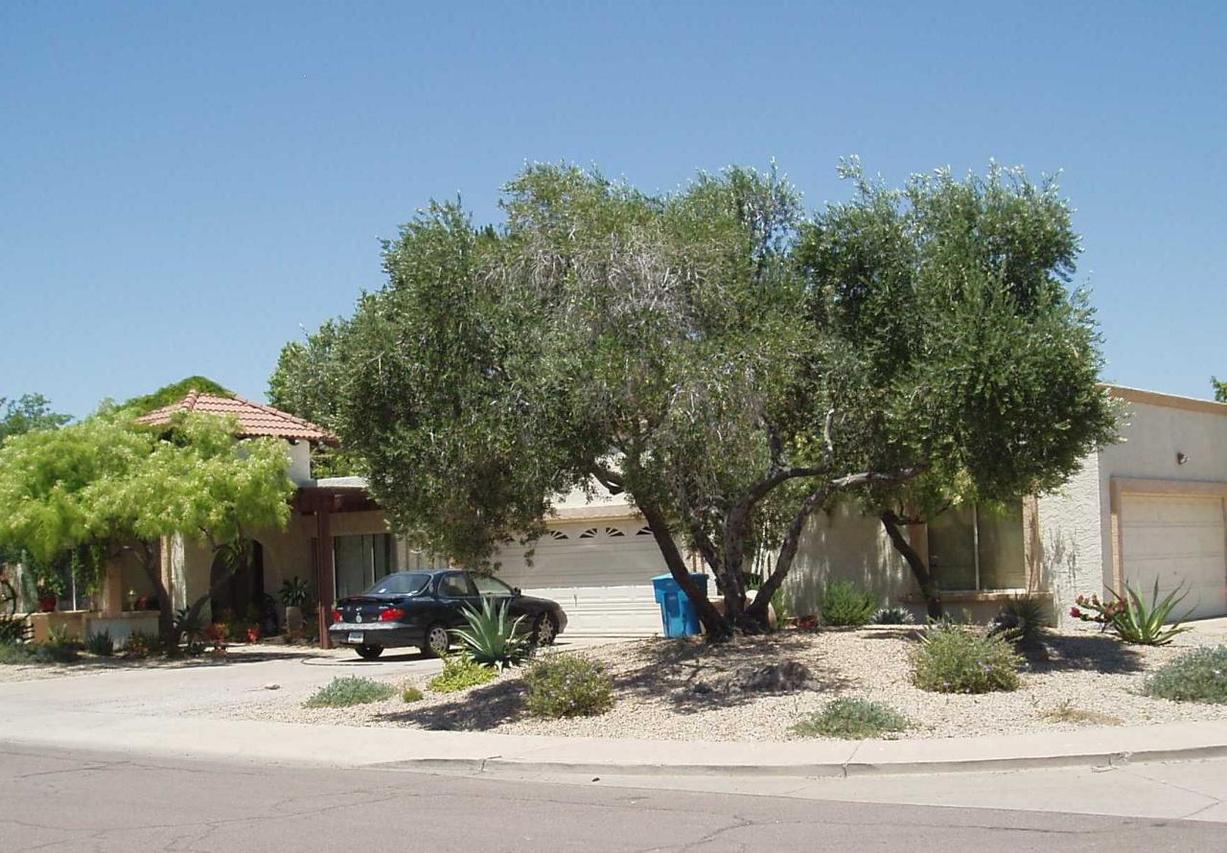 3420 E Carol Ann Way, Phoenix, AZ 85032