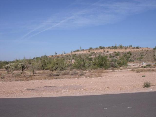 9436 E Thunder Pass Dr. #39, Gold Canyon, AZ 85218