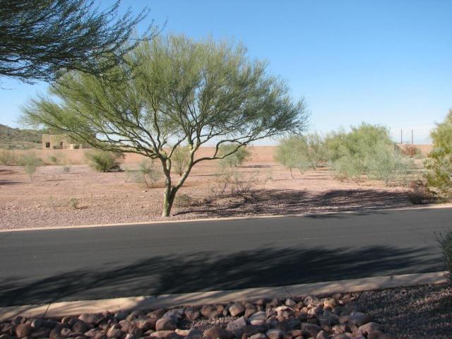 6431 E Flat Iron Loop #67, Gold Canyon, AZ 85118