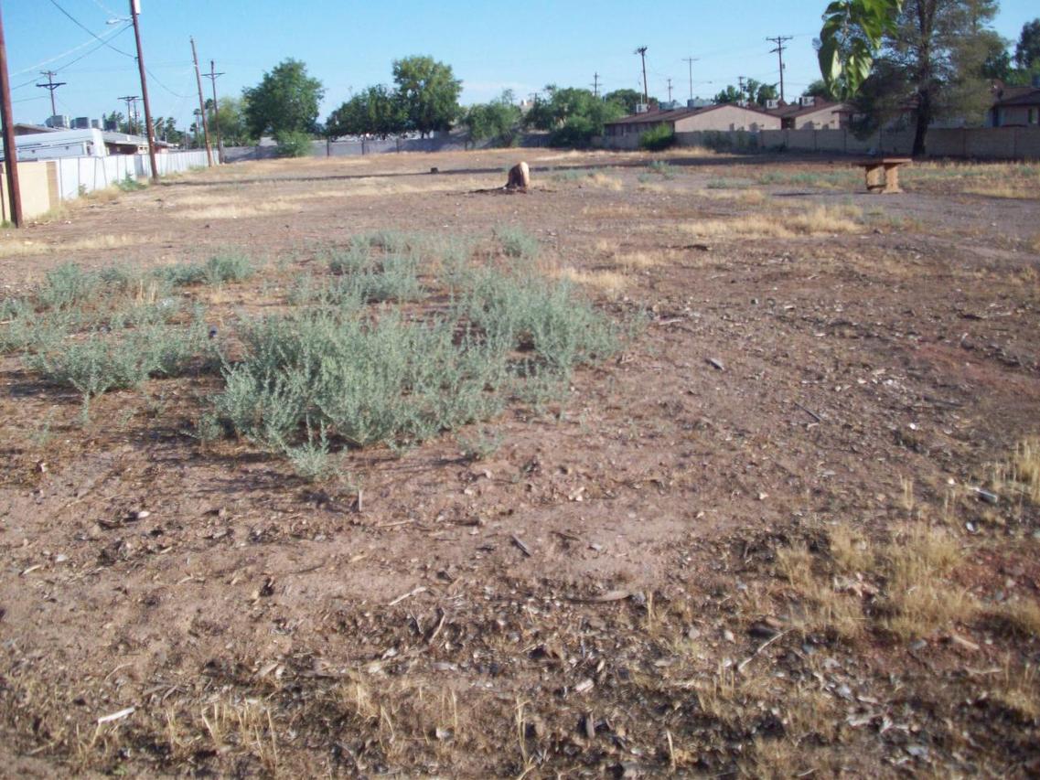 2045 W Hayward Ave. #13, Phoenix, AZ 85021
