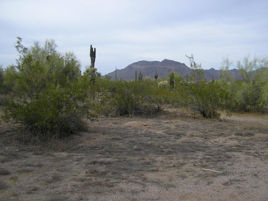 10220 E Brown Rd. #3, Mesa, AZ 85207