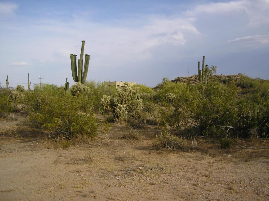 9999/10099 E Indigo St., Mesa, AZ 85207