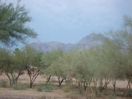 406 N Rennick Dr., Apache Junction, AZ 85220