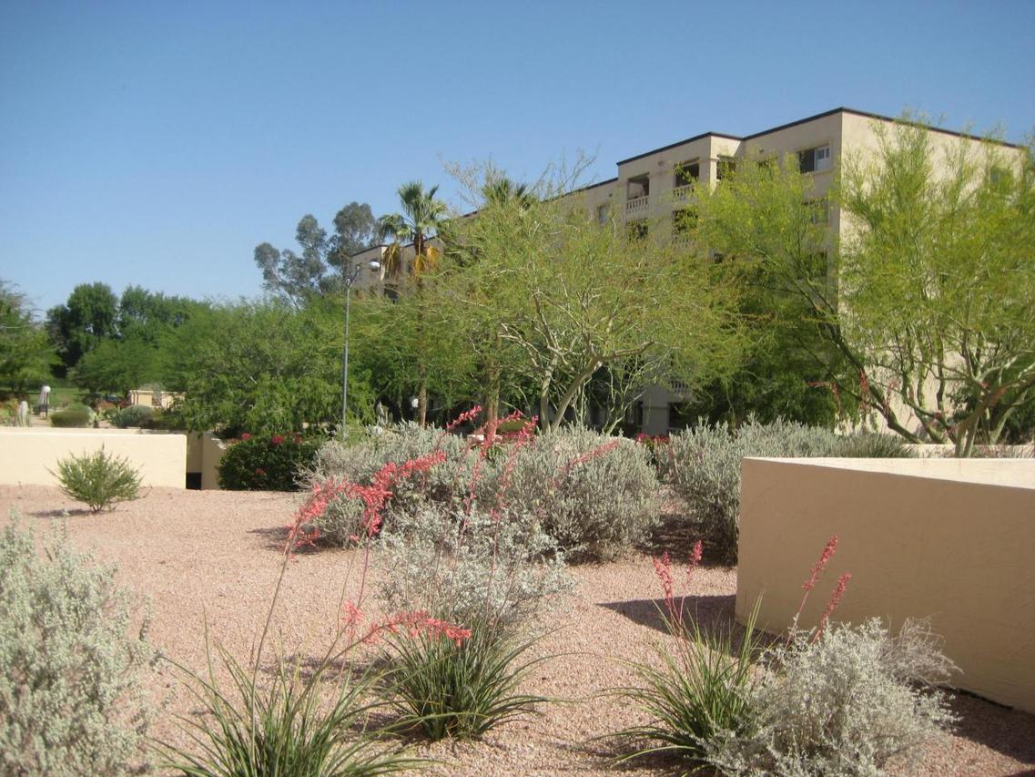 7830 E Camelback Rd. #411, Scottsdale, AZ 85251