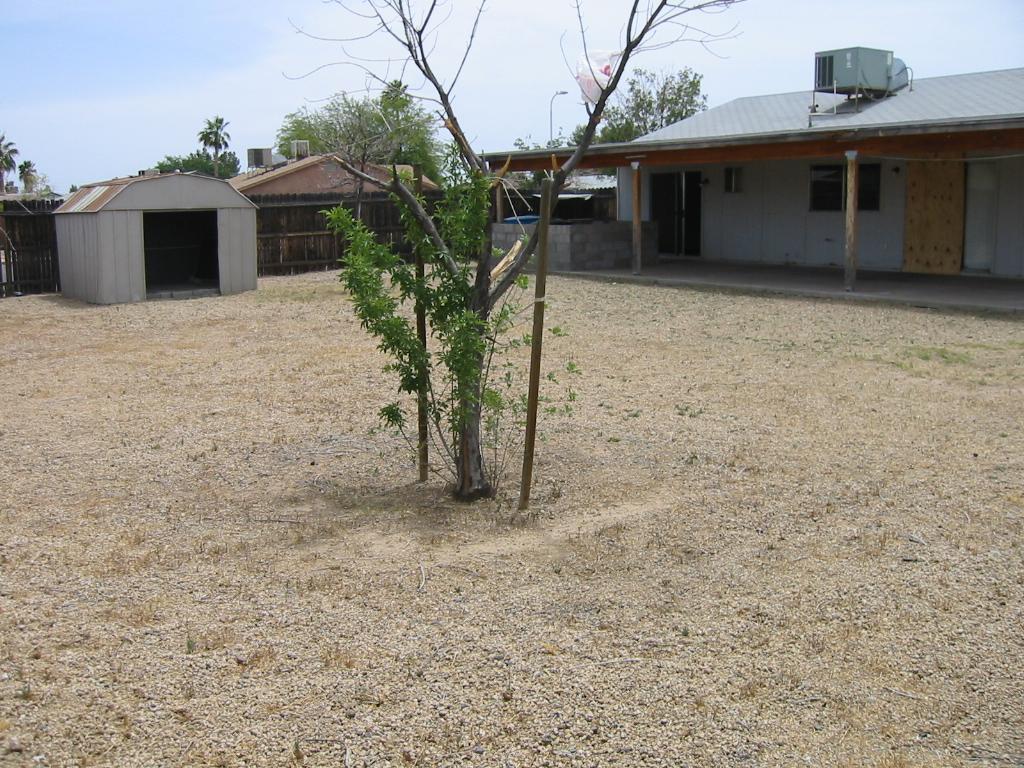 11102 W Calle Del Sol, Phoenix, AZ 85037