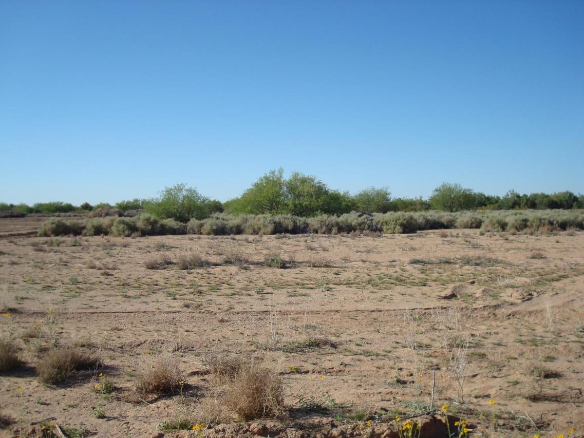 25600 S 194 Ave., Buckeye, AZ 85326
