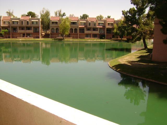 2524 S El Paradiso Dr. #104, Mesa, AZ 85202