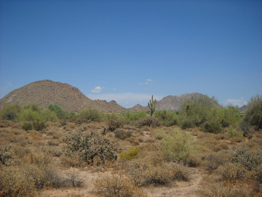 8770 E Bronco Tr. #1, Scottsdale, AZ 85255