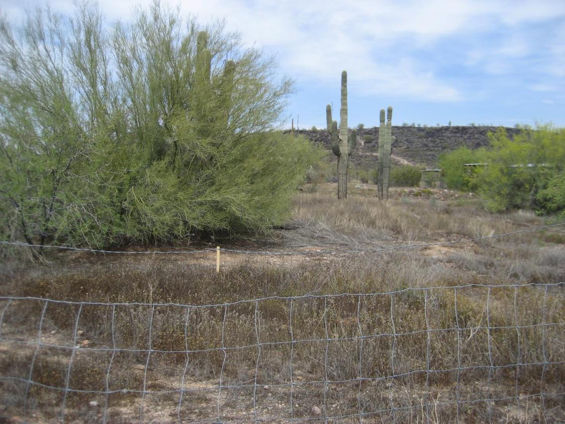 27620 N 35th Ave., Phoenix, AZ 85083