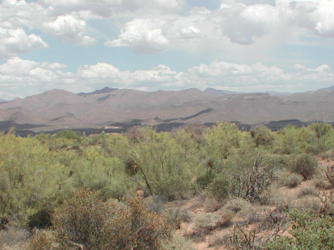 171XX E Maya Way #1, Scottsdale, AZ 85262