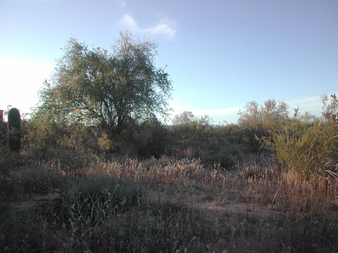 16320 E Cavedale Dr. #219-37-506C, Scottsdale, AZ 85262