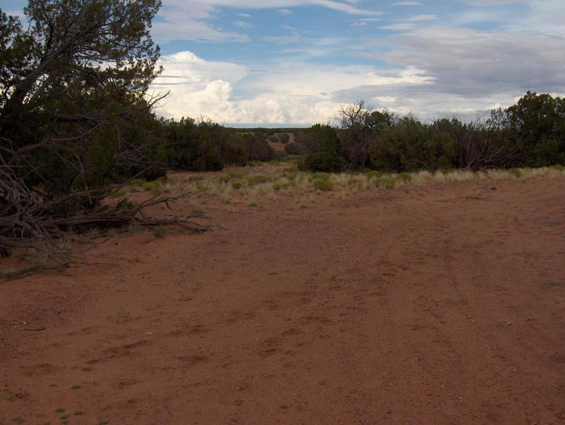 Sec.31 Chevelon Retreat #004, Heber, AZ 85928