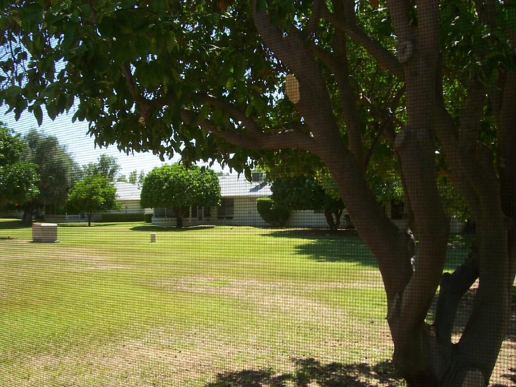 19206 N Concho Cir., Sun City, AZ 85373