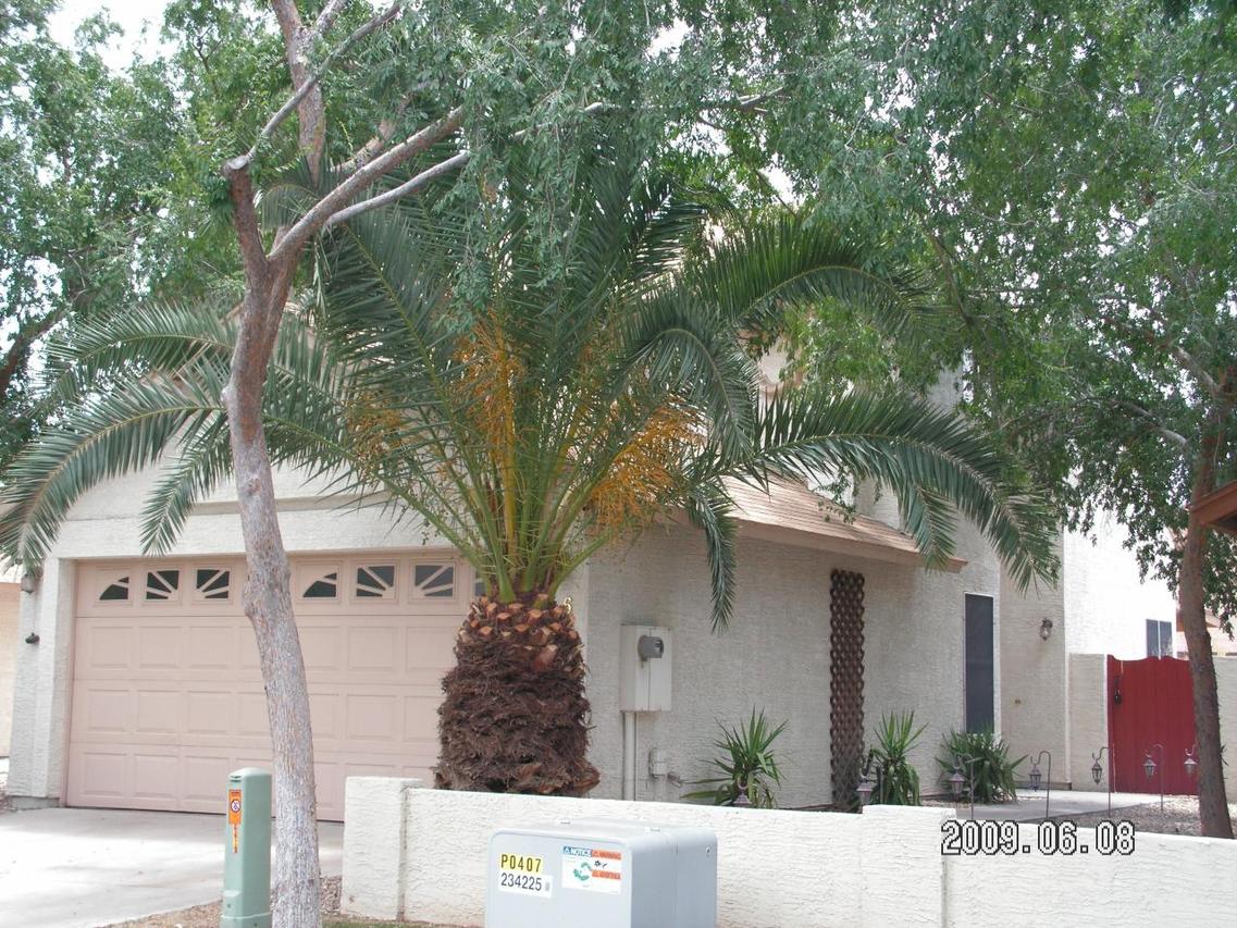 6629 W Cheryl Dr., Glendale, AZ 85302