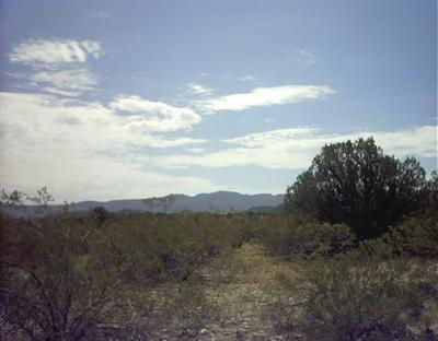 1 Running Wolf, Rimrock, AZ 86335