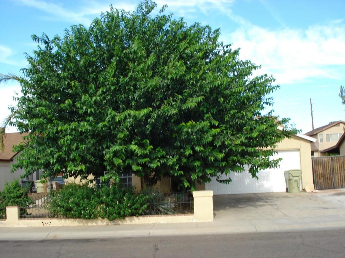 5439 N 79th Dr., Glendale, AZ 85303