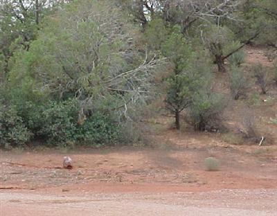 No Name, Sedona, AZ 86336