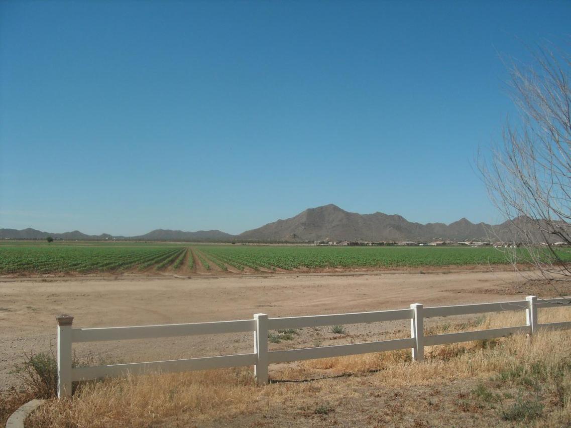 22214 E Riggs Rd., Queen Creek, AZ 85242