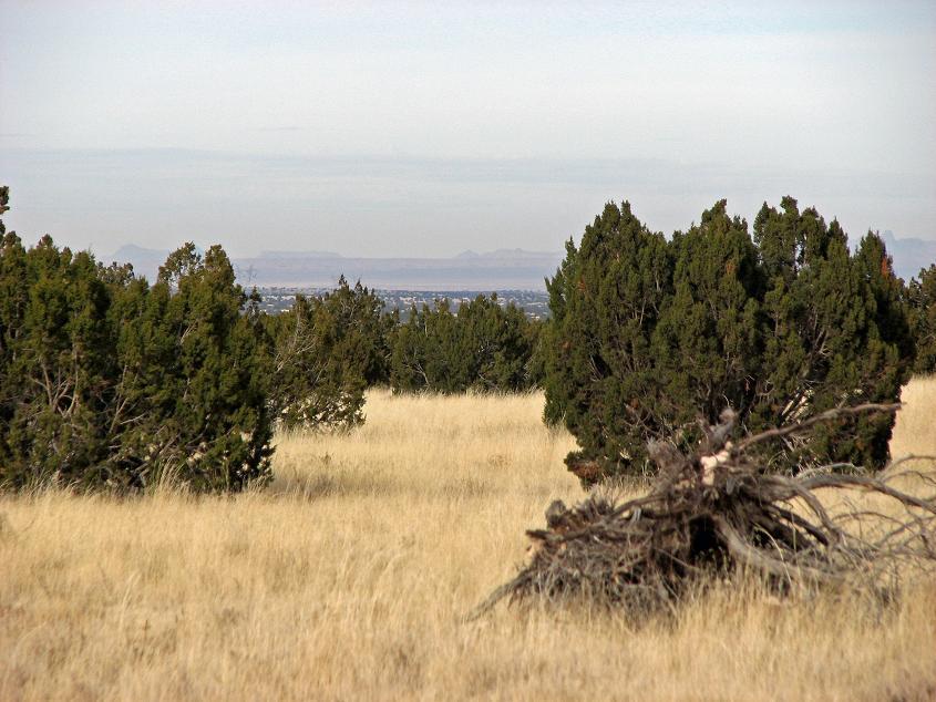 Sec.27 Chevelon Retreat #022, Heber, AZ 85928