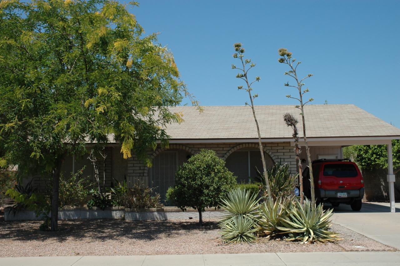 3214 N Jay St., Chandler, AZ 85225