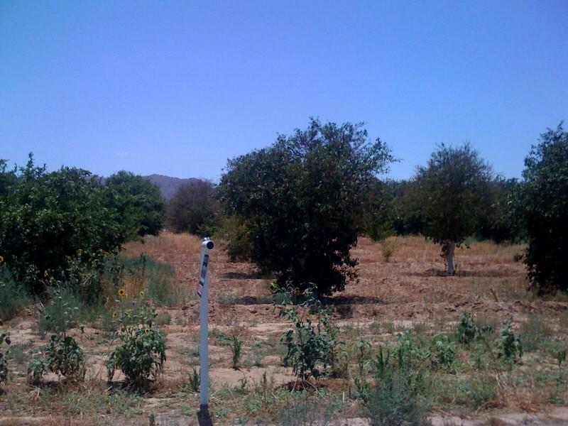 20527 E Excelsior Ct. #12, Queen Creek, AZ 85242