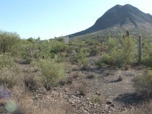 2940 W Twin Peaks Ln. #1, New River, AZ 85087